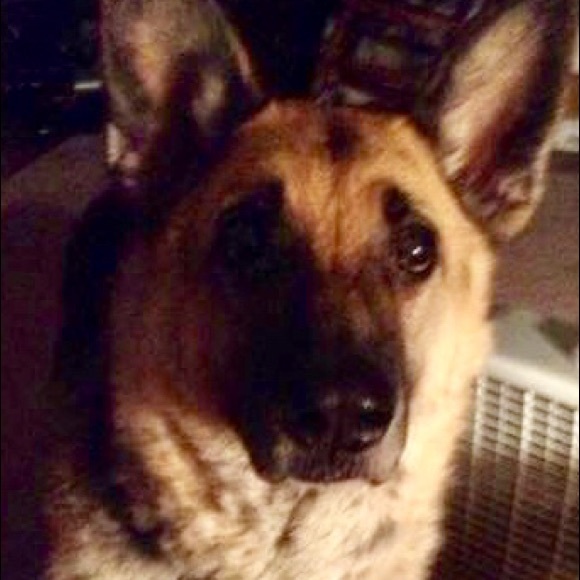 Stop in and say "Hi" :) - Picture 7 of 8